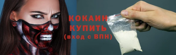 крисы Магас