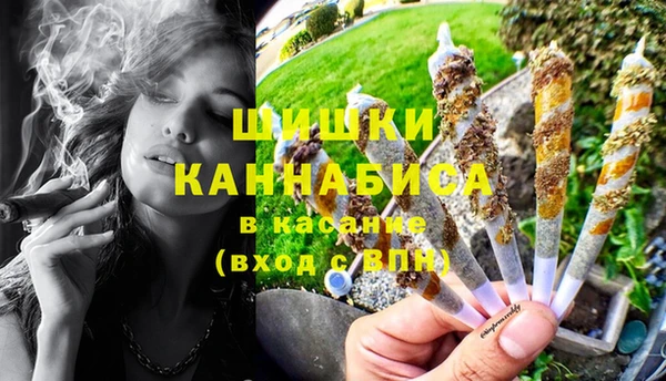крисы Магас