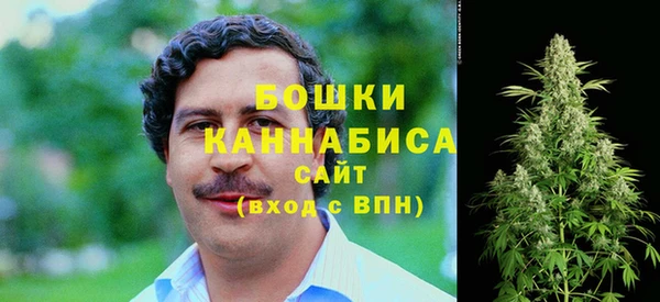 шишки Верхний Тагил