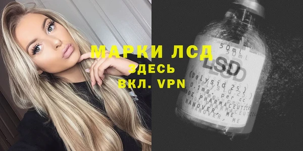 крисы Магас